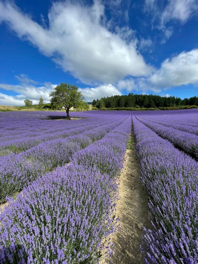 À mont nos hôtes 2 Mollans-sur-Ouvèze Extérieur photo